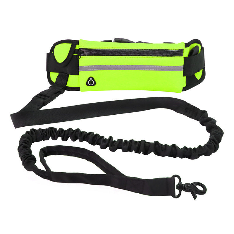 🏃♂️🐕 Ceinture de Course avec Laisse pour Chien – Confort & Liberté de Mouvement