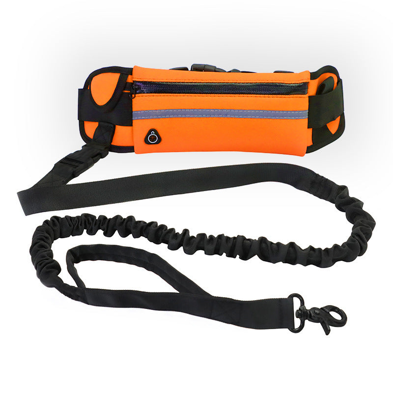 🏃♂️🐕 Ceinture de Course avec Laisse pour Chien – Confort & Liberté de Mouvement