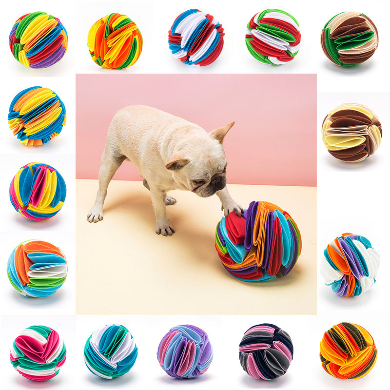 🎾 Balle Interactive à Renifler – Jeu éducatif et ludique pour chien 🐾