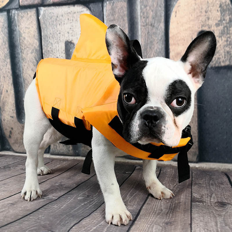 🦺 Gilet de Sauvetage pour Chien – Sécurité et Confort en Toute Situation 🌊