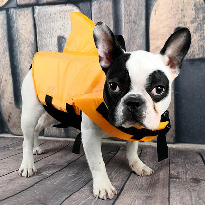 🦺 Gilet de Sauvetage pour Chien – Sécurité et Confort en Toute Situation 🌊