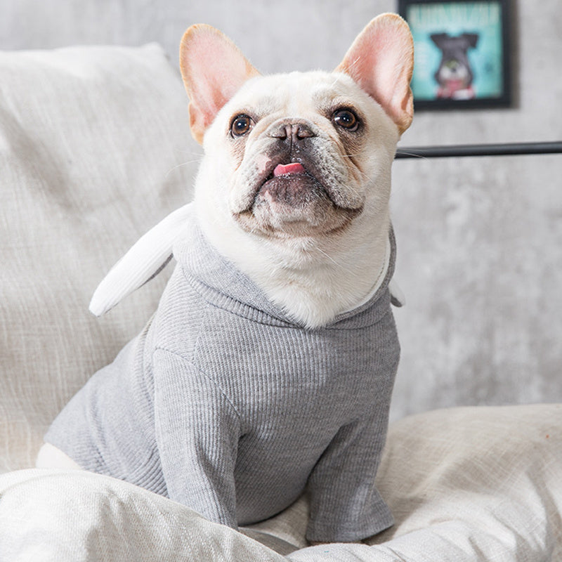✨ Sweat à Capuche pour Chien – Confort & Style au Quotidien ✨
