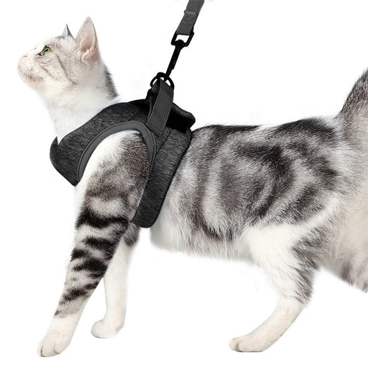 ✨Harnais de Sécurité pour Chat avec Laisse – Confortable & Réglable✨