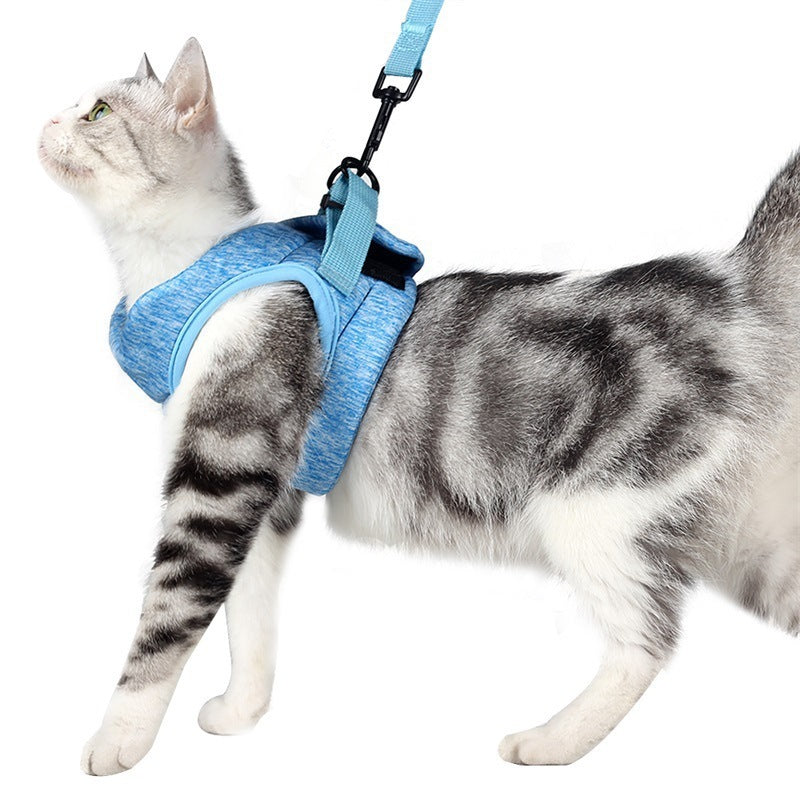 ✨Harnais de Sécurité pour Chat avec Laisse – Confortable & Réglable✨