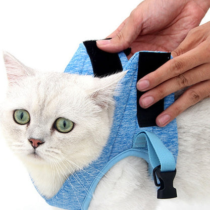 ✨Harnais de Sécurité pour Chat avec Laisse – Confortable & Réglable✨