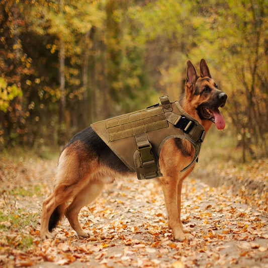 ✨ Gilet Tactique pour Chiens – Sécurité, Confort & Contrôle ✨