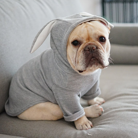 ✨ Sweat à Capuche pour Chien – Confort & Style au Quotidien ✨