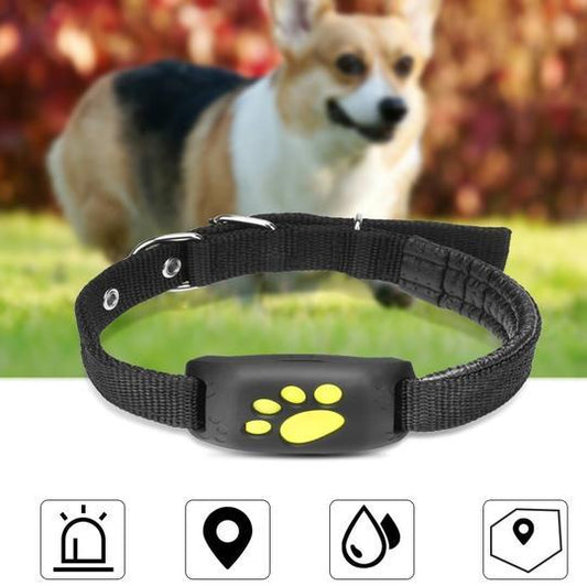 ✨GPS Tracker pour Animaux Z8-A – Localisation en Temps Réel & Étanche✨