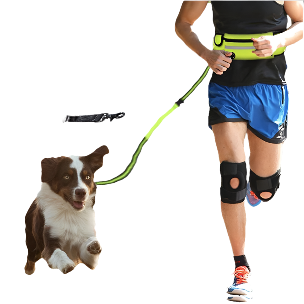 🏃‍♂️🐕 Ceinture de Course avec Laisse pour Chien – Confort & Liberté de Mouvement