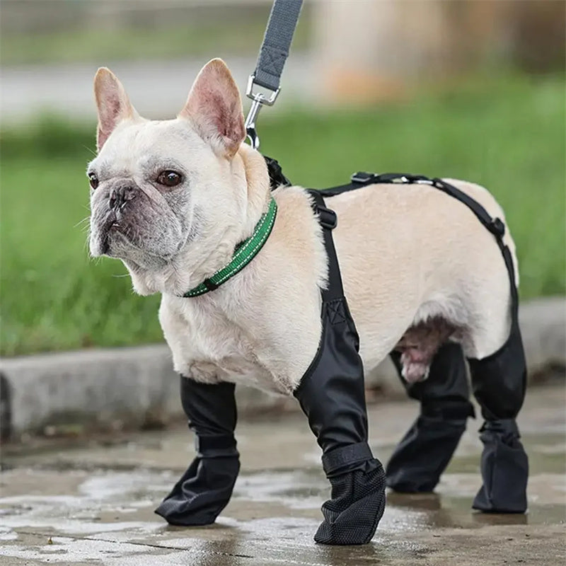 ✨Chaussures Imperméables pour Chiens – Antidérapantes & Réglables✨