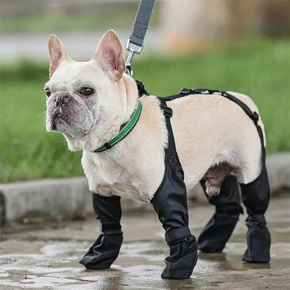 ✨Chaussures Imperméables pour Chiens – Antidérapantes & Réglables✨