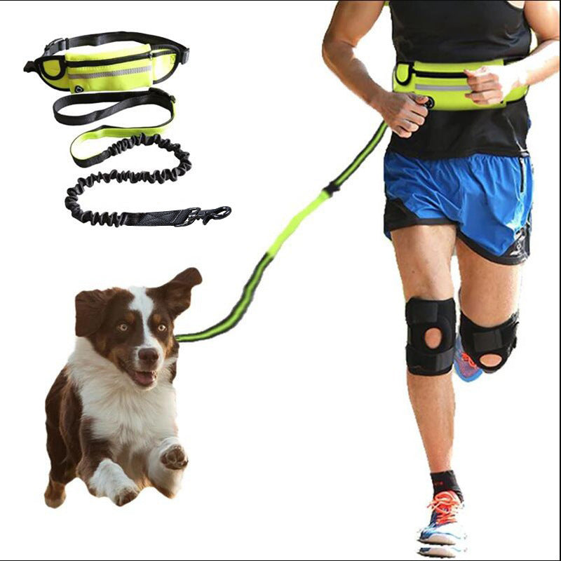 🏃‍♂️🐕 Ceinture de Course avec Laisse pour Chien – Confort & Liberté de Mouvement