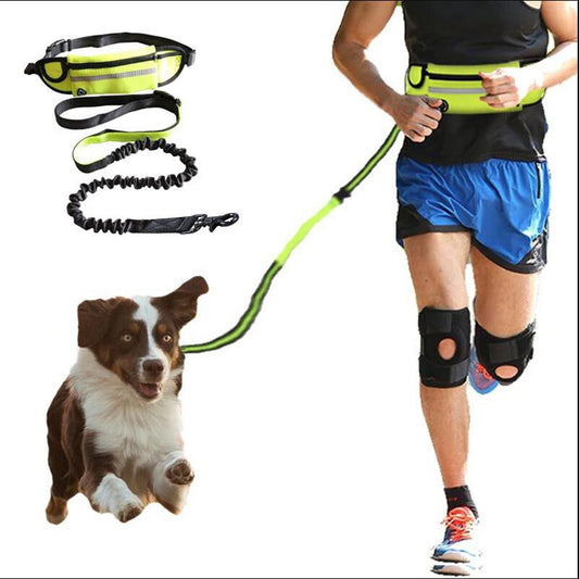 🏃‍♂️🐕 Ceinture de Course avec Laisse pour Chien – Confort & Liberté de Mouvement