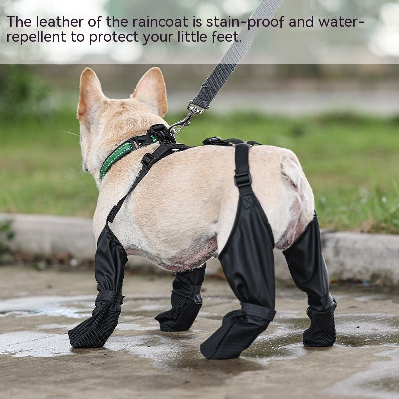 ✨Chaussures Imperméables pour Chiens – Antidérapantes & Réglables✨