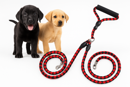 ✨ Laisse Double en Corde d’Escalade – Sécurité & Confort pour Vos Balades avec Chien ✨