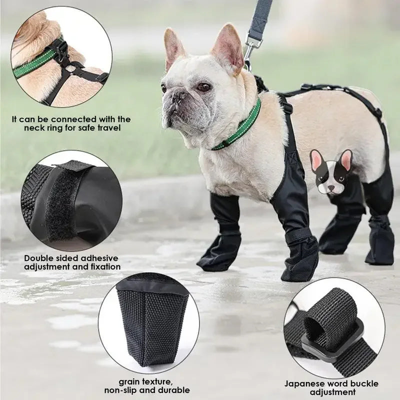 ✨Chaussures Imperméables pour Chiens – Antidérapantes & Réglables✨
