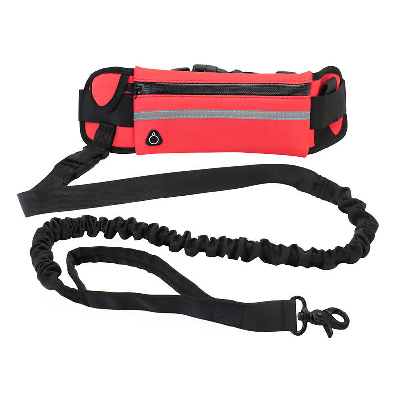 🏃‍♂️🐕 Ceinture de Course avec Laisse pour Chien – Confort & Liberté de Mouvement